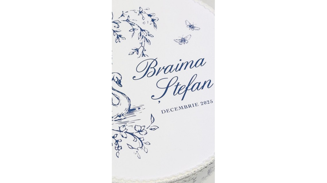 Set Prima Băiță cu nasii dupa botez Swan Lake Ritual Blând al apei pentru Băieți 24